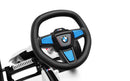 Berg Reppy BMW