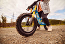 Berg Biky Cross Blue Handbrake