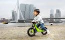 Berg Biky City Groen